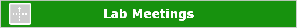 Lab Meetings